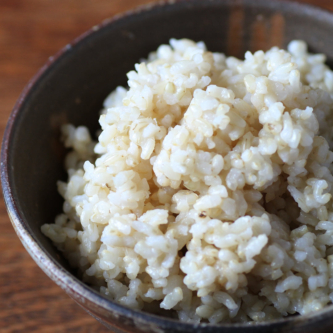 かむと広がる米の風味 発芽玄米のおやつ Envelope エンベロープオンラインショップ