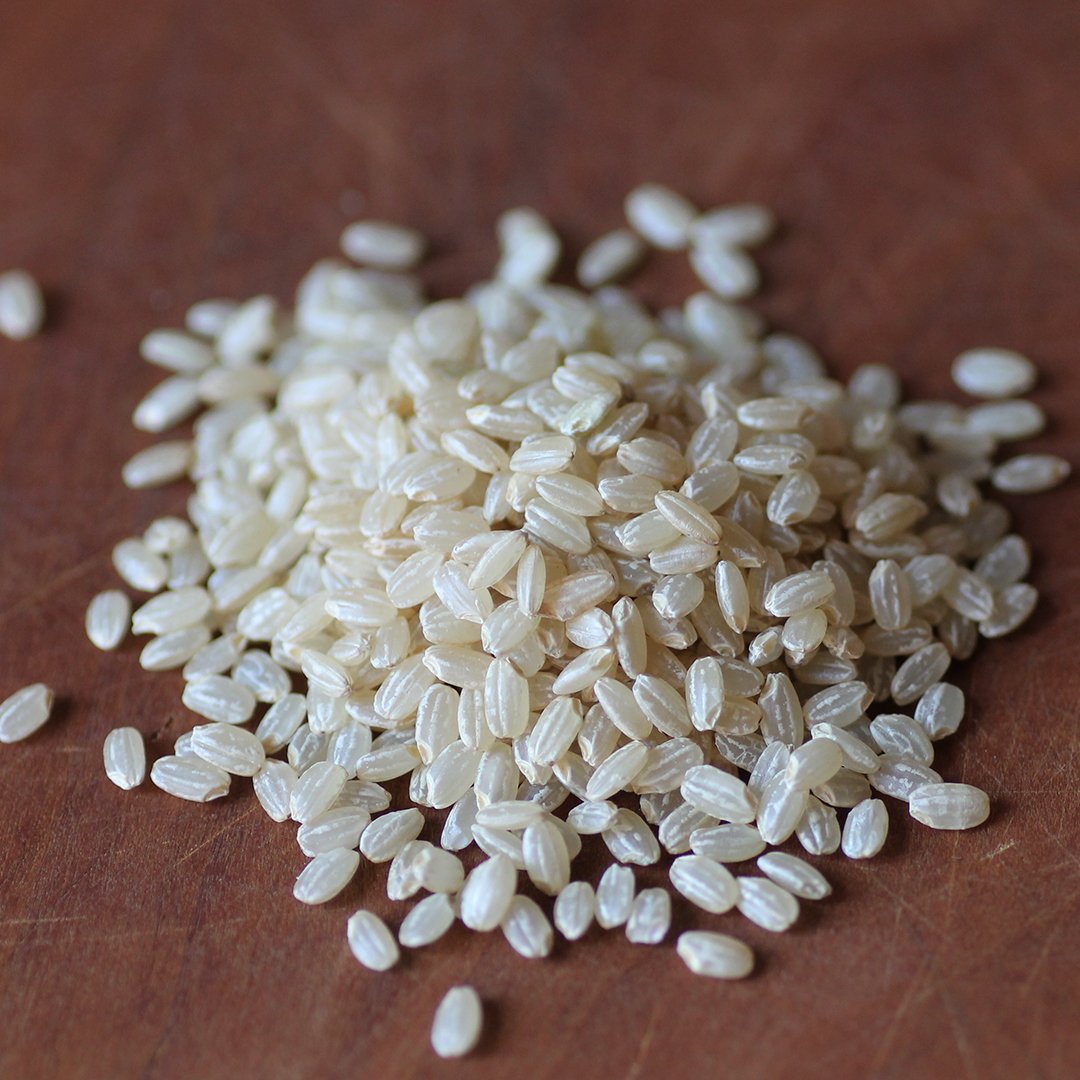 プチプチ食感がたまらない！発芽玄米を手軽に食べやすく　エンベロープオンラインショップ　–　Envelope