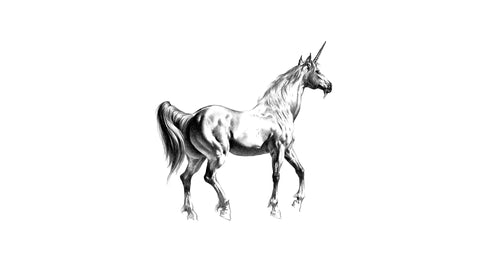 sfondo-unicorno-disegno-realistico