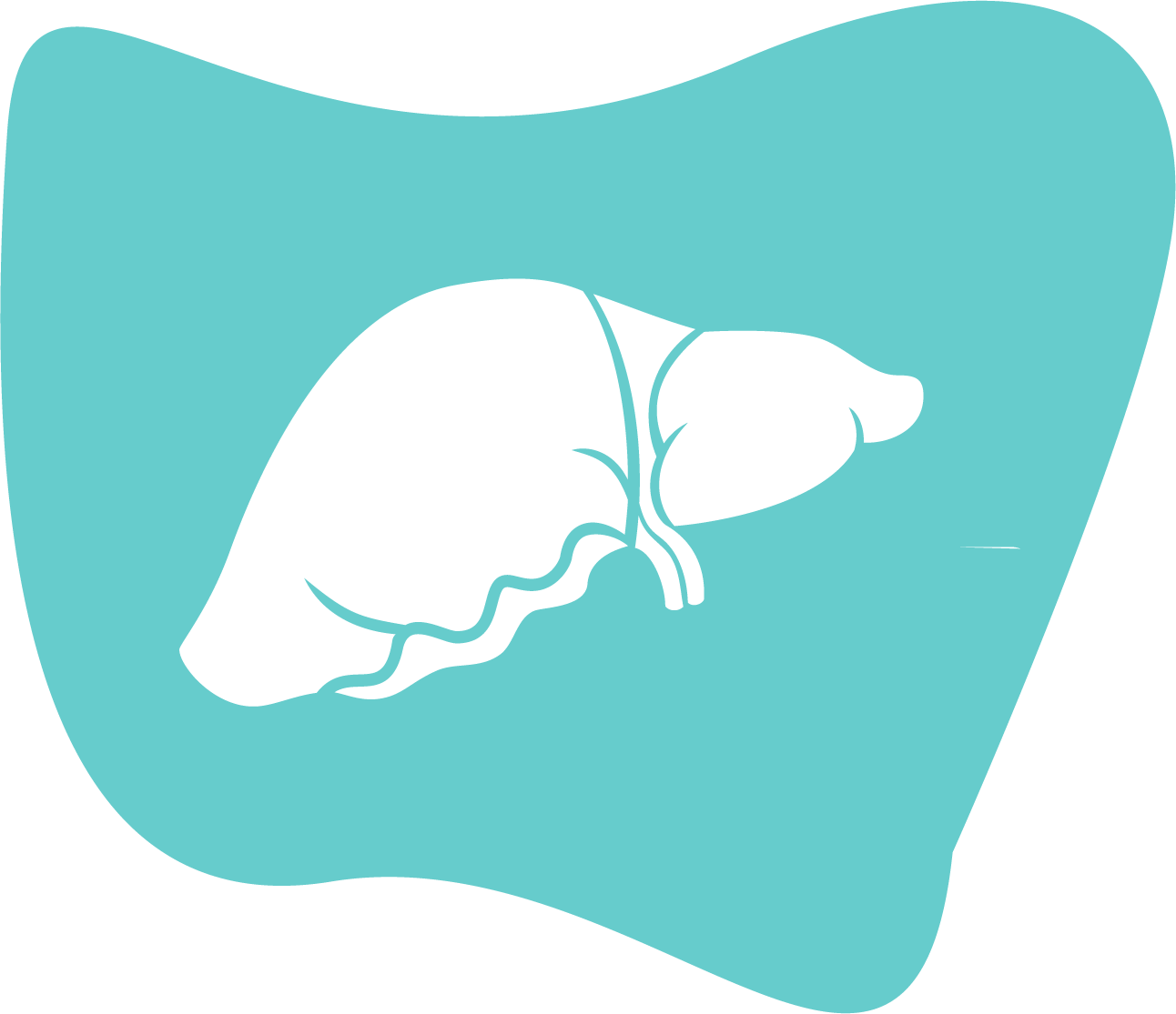 Liver model icon.png__PID:792a3061-8664-4fa3-a498-6aa1dca9aedb
