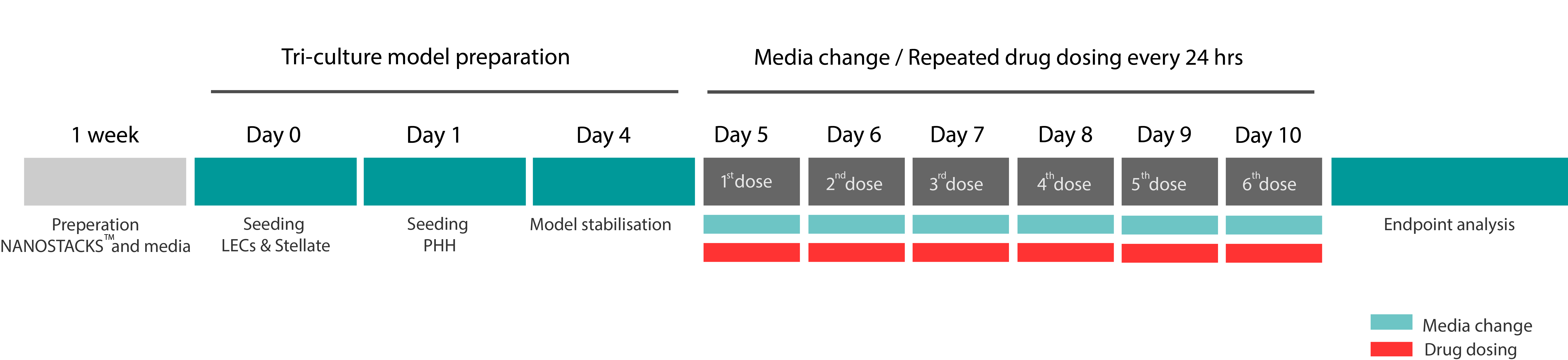 Triculture dosing timeline .png__PID:4dce9f50-f57d-4726-806d-d5e34a09da35