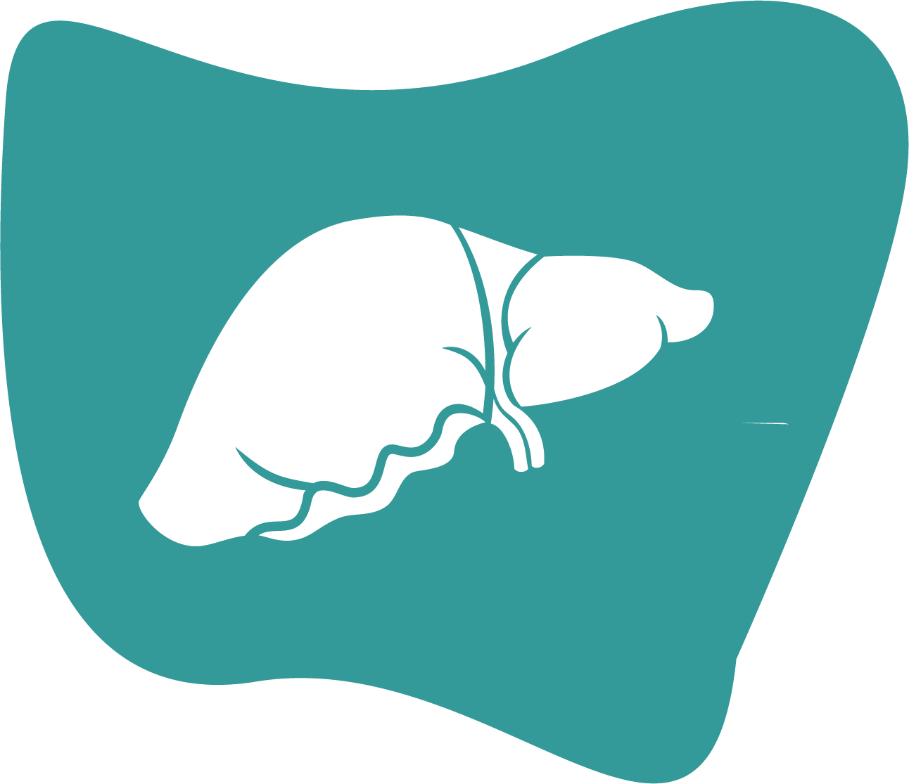 liver model icon 2.png__PID:80eed11a-2847-4254-bd4b-4e66b8daf731