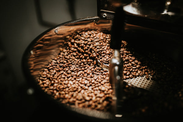 Whole coffee beans being roasted in a rotating commercial coffee bean roaster.