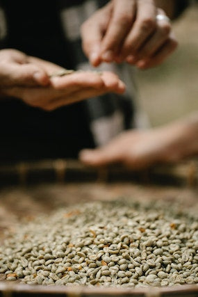 exchange and inspection of green coffee beans