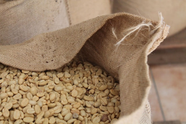 green coffee beans in a burlap sack