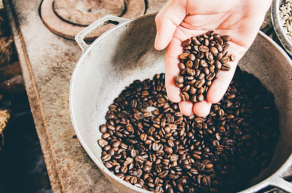 hand holding roasted coffee beans over a pan