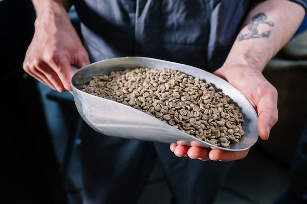 green coffee beans being roasted