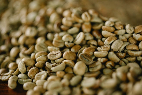 dry processed coffee laying out to dry