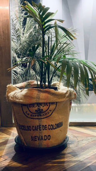 colombian burlap coffee sack with plant growing out of it