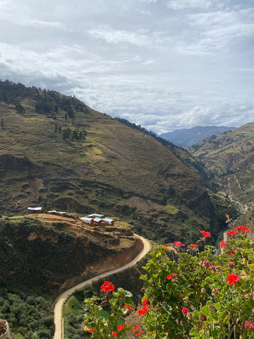 Coffee farm in the Andes
