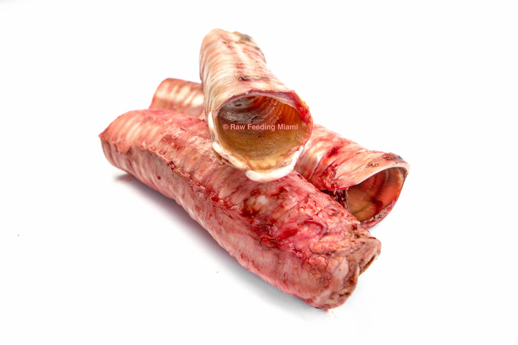 beef trachea nutrition