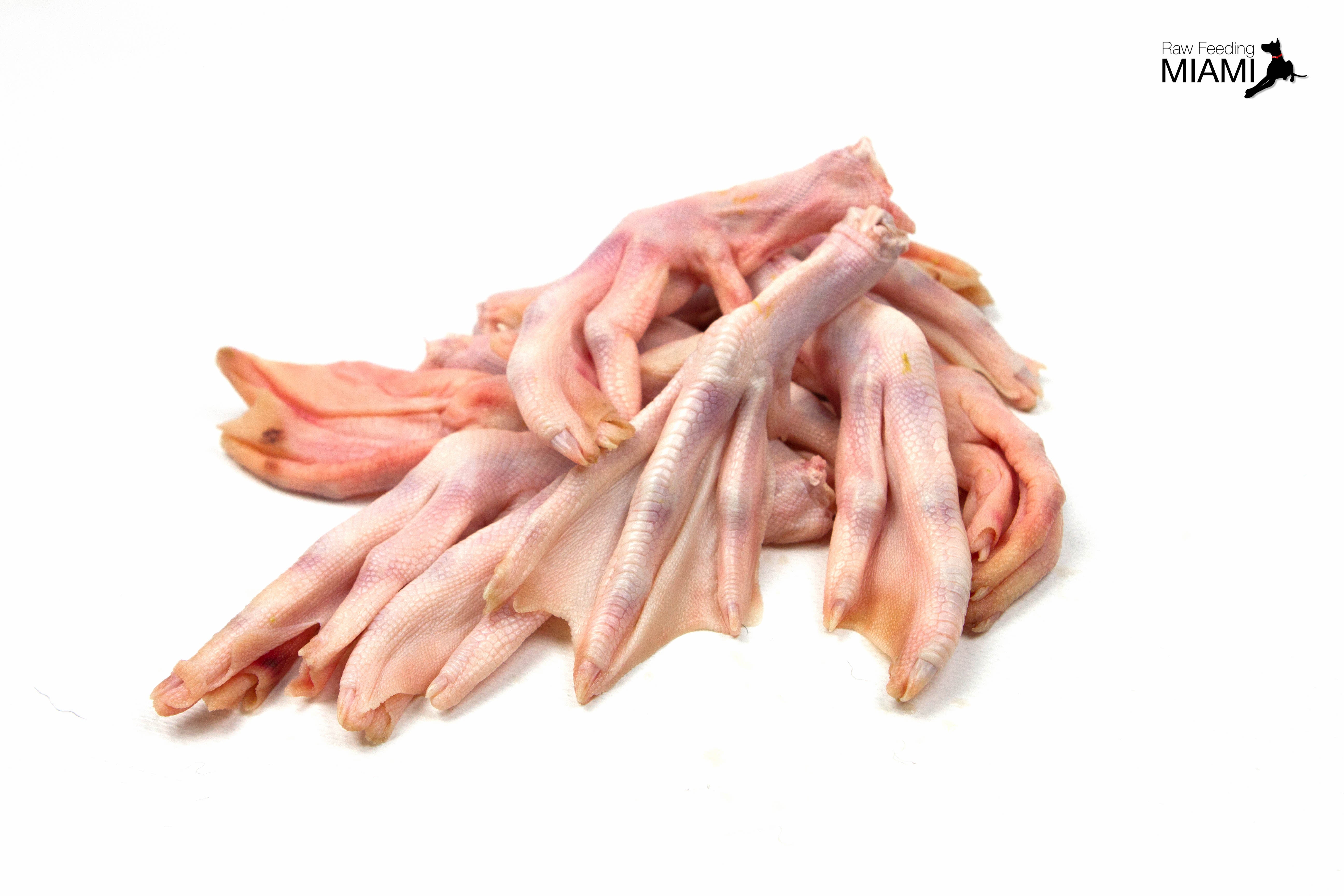 Duck Feet – Raw Feeding Miami