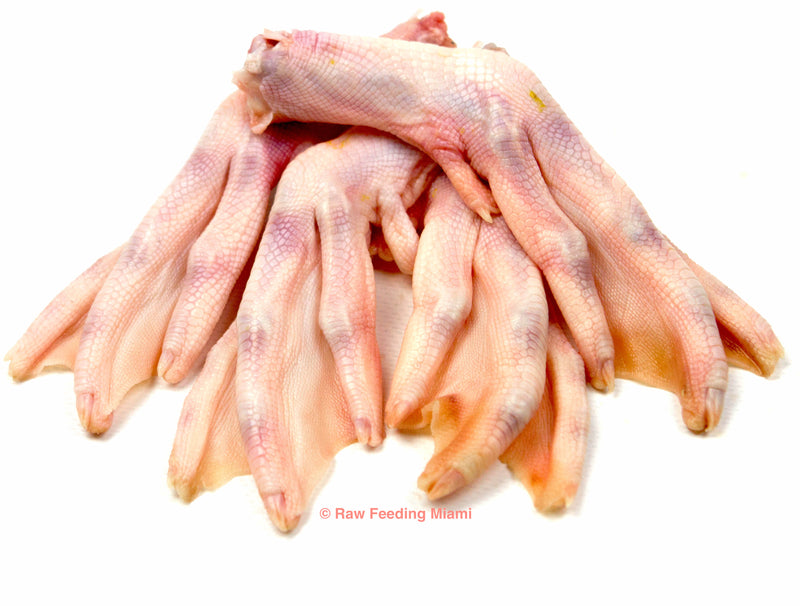 Duck Feet – Raw Feeding Miami