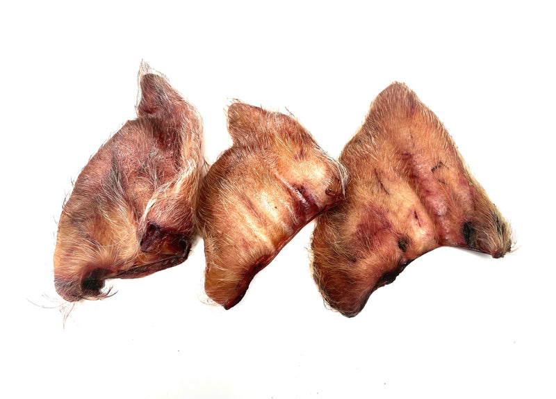 are dried pig ears safe for dogs