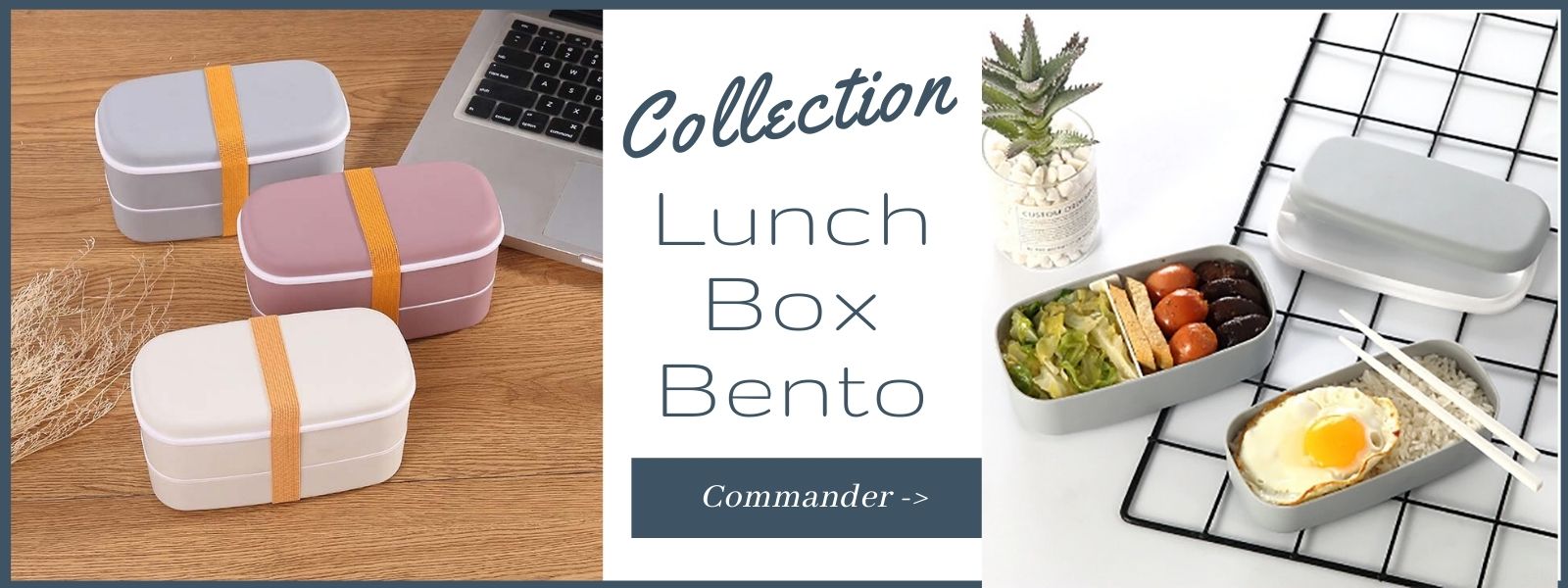 Bento Lunch Box