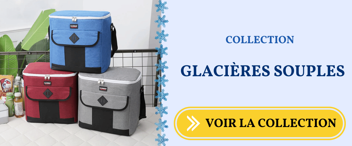 Collection des glacieres souples pour picnic