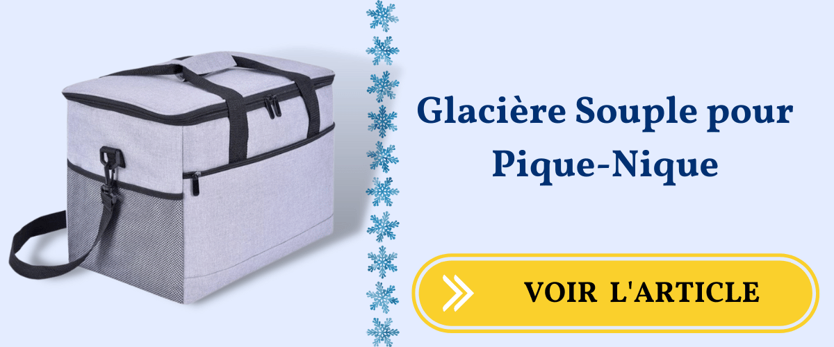 Glacière isotherme pour pique nique