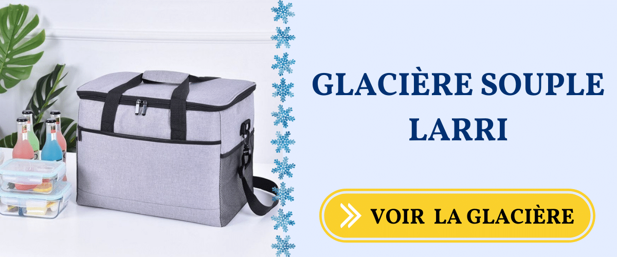 Avis / test - Sac Isotherme Repas Femme Glacière Isotherme Sac Déjeuner  Cabas Thermique pour Travail,Camping - AUCUNE - Prix