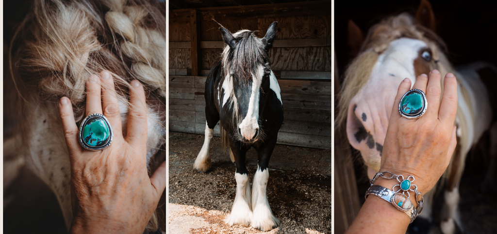 gypsy vanner horse