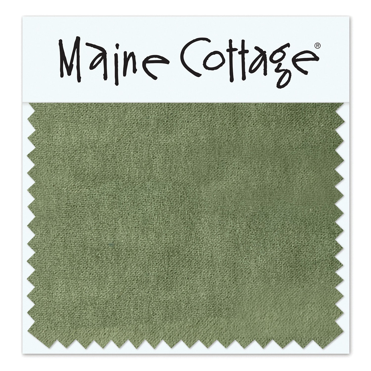 Maine Cottage Very Velvet: Sage Fabric Sample | Maine Cottage® 