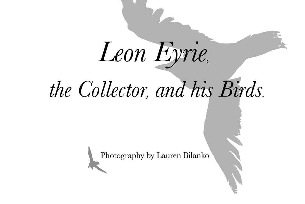 Leon Eyrie, The Collector and his Birds by Lauren Bilanko