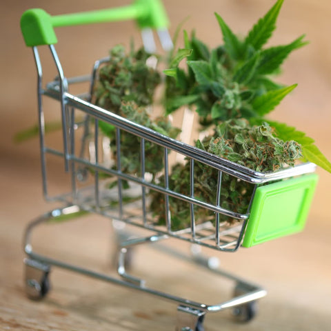 Guide achat CBD en gélule : conseils