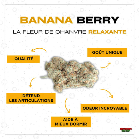 https://greendogs.fr/products/banana-kush-premium-cbd?_pos=1&_psq=banana&_ss=e&_v=1.0