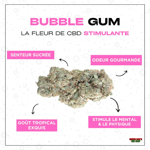 Meilleure fleur CBD : Bubble gum