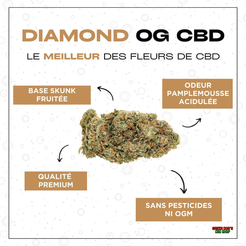 Meilleure fleur de CBD : Diamond OG