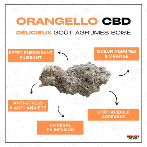 Meilleure fleur de cbd : Orangello