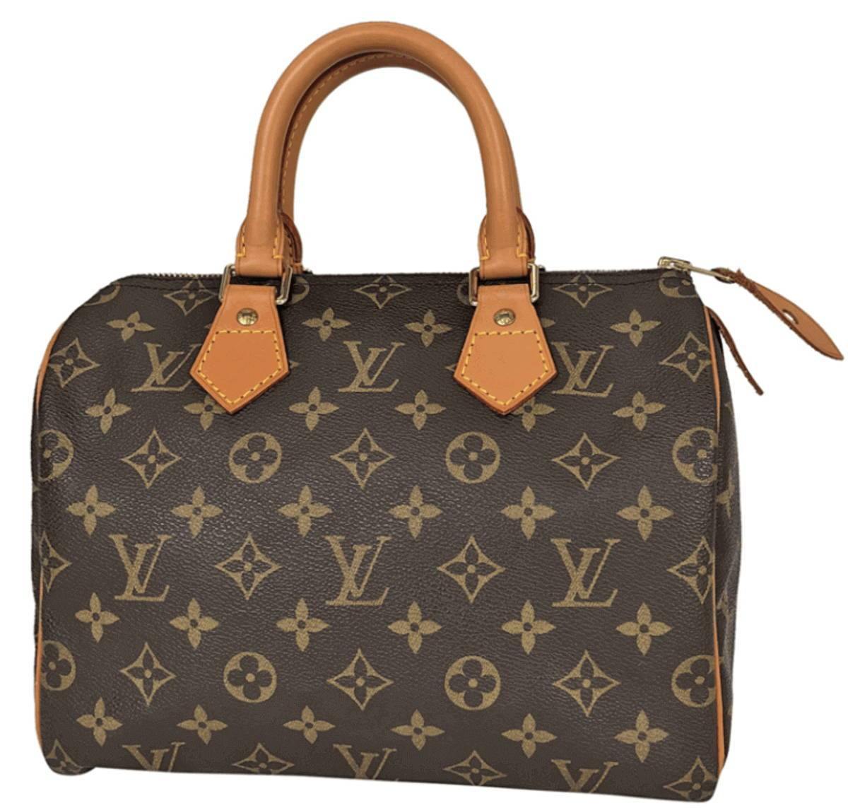 LOUIS VUITTON ヴィトン スピーディー USBモデル ハンドバッグ-