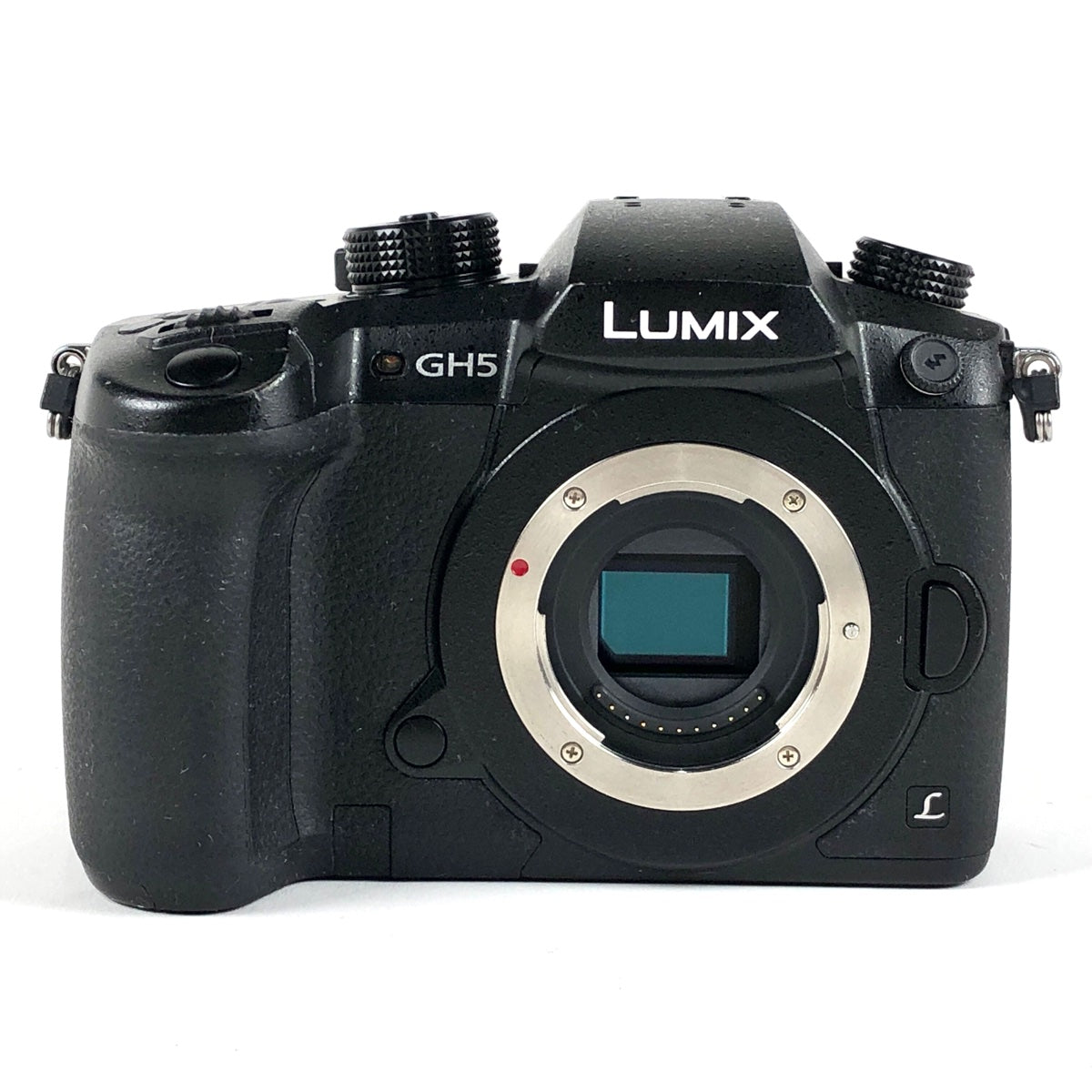 定番から日本未入荷 パナソニック LUMIX DC-GH5 ボディ RD-SPM049