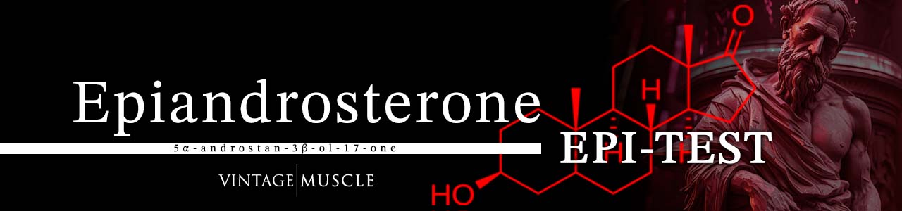 Epiandrosterone EPI-TEST by vintage-muscle.com