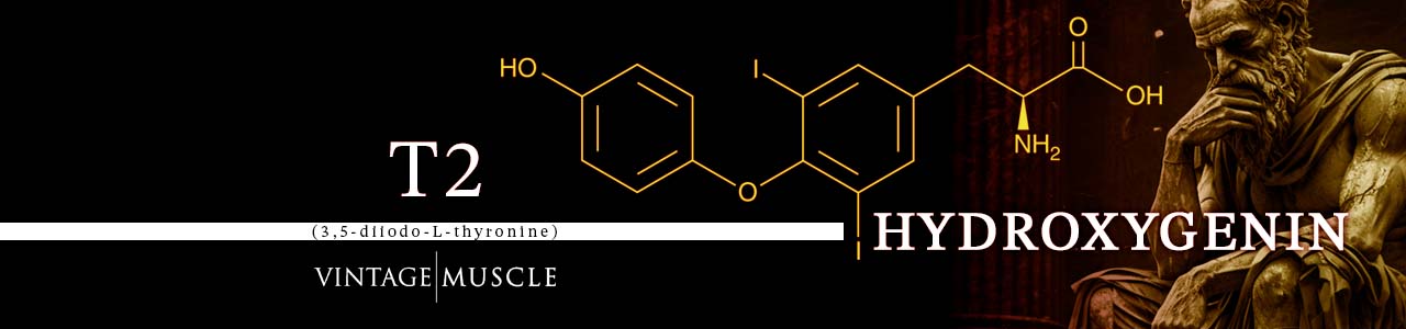 Hydroxygenin by vintage-muscle.com