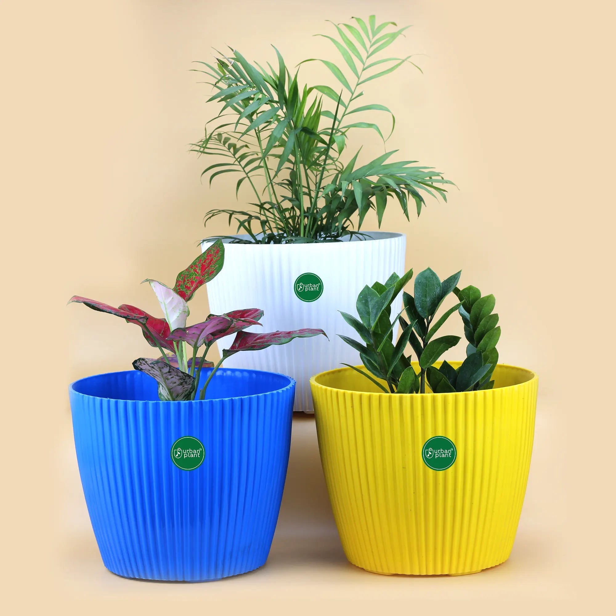 Buy Planters Online Indoor & Outdoor Pots Urban Plant