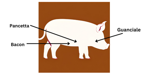 A graph showing where guanciale, pancetta, and bacon come from.