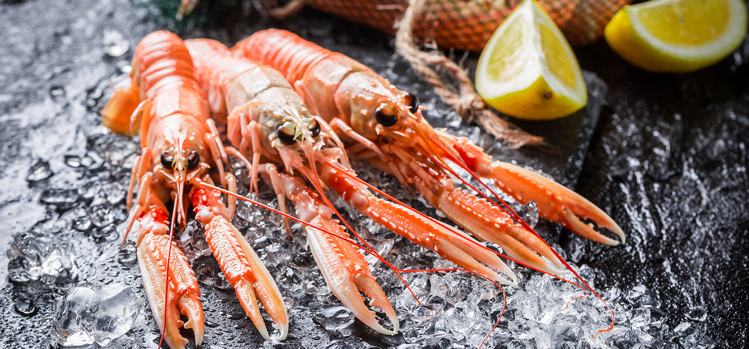 Langoustine Lobsters also known as Norway lobsters