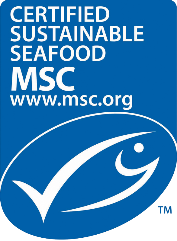 msclogo.png