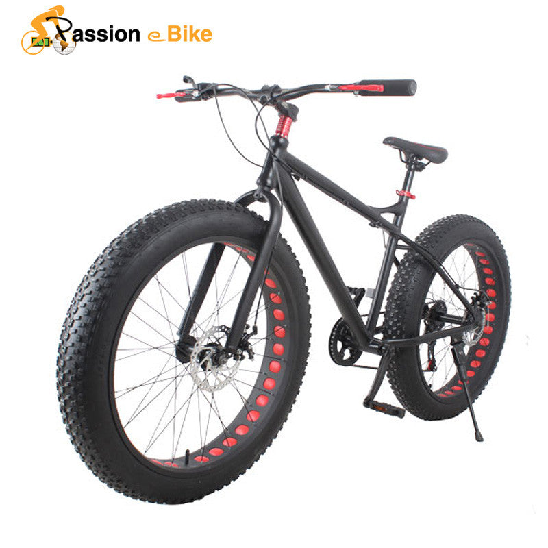 fat bike 21 speed