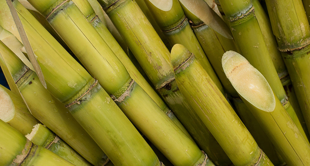 Squalane from Sugarcane 