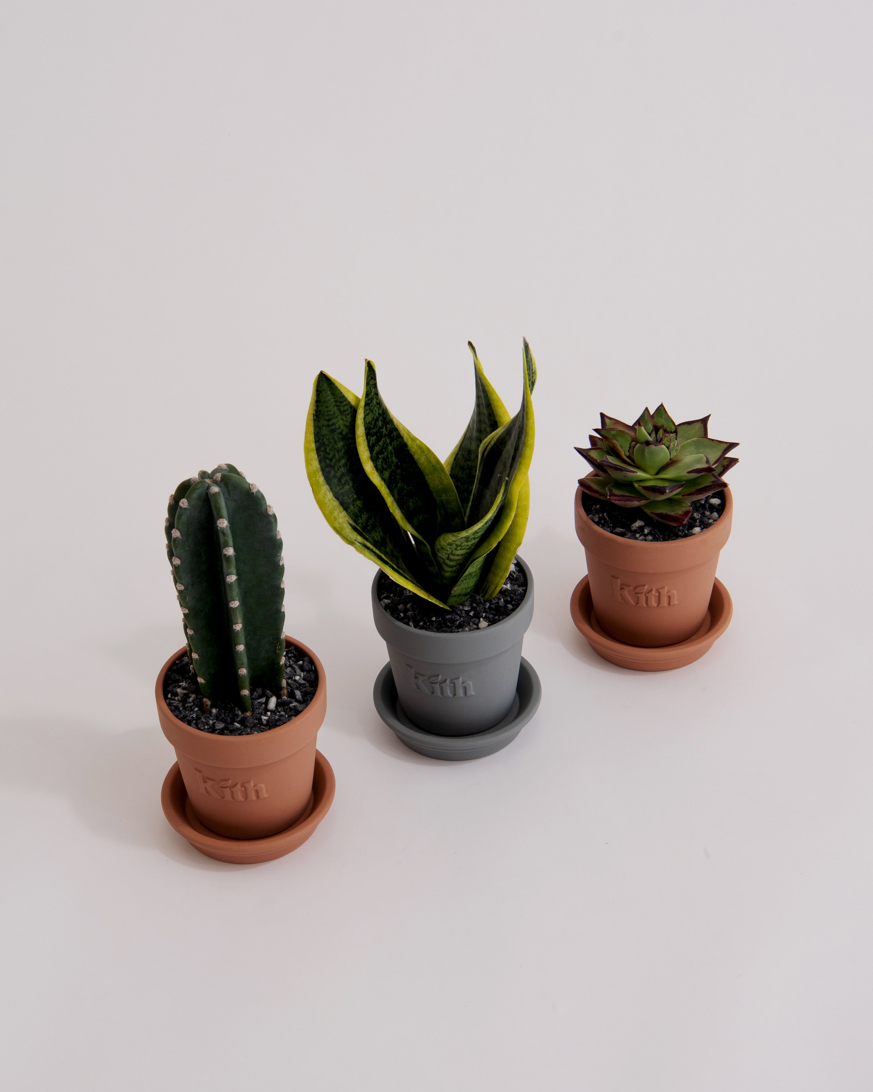 Kith Planter Set Terracotta