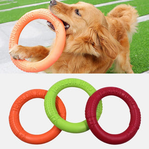 outdoor toys for large dogs