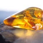 amber gem stone