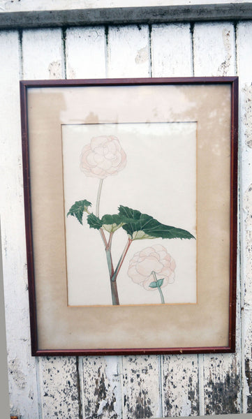 Set of 3 vintage framed botanical flower art prints – Emily Rose Vintage