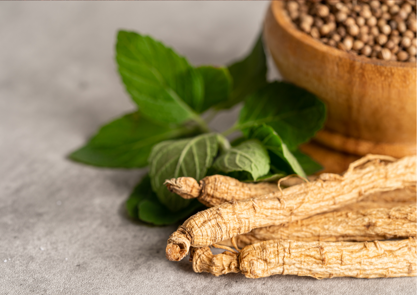 Panax Ginseng is one of the most beneficial adaptogens and a great ingredient for stress relief