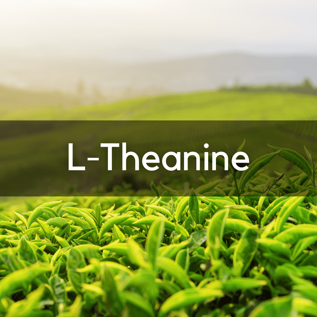 L Theanine