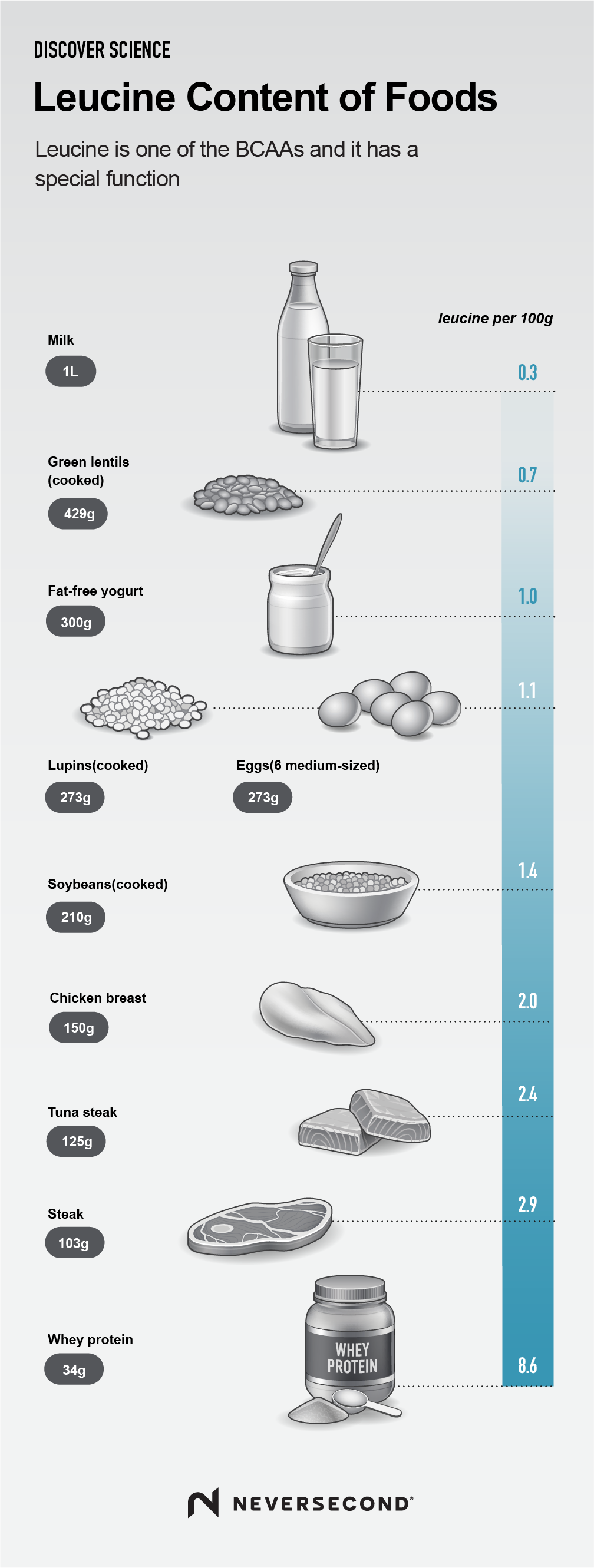 What is Leucine Infographic