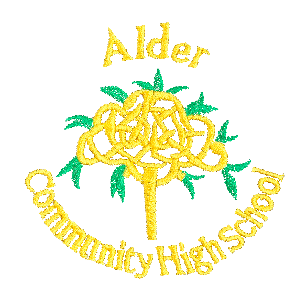 Alder High Community School