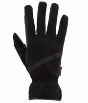 Handschoenen Warm Classy Pro