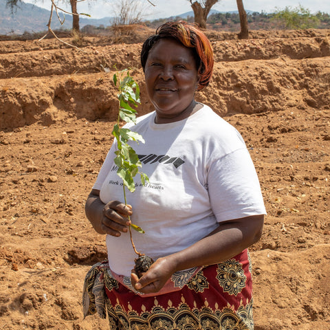 A woman standing with a tree seedling